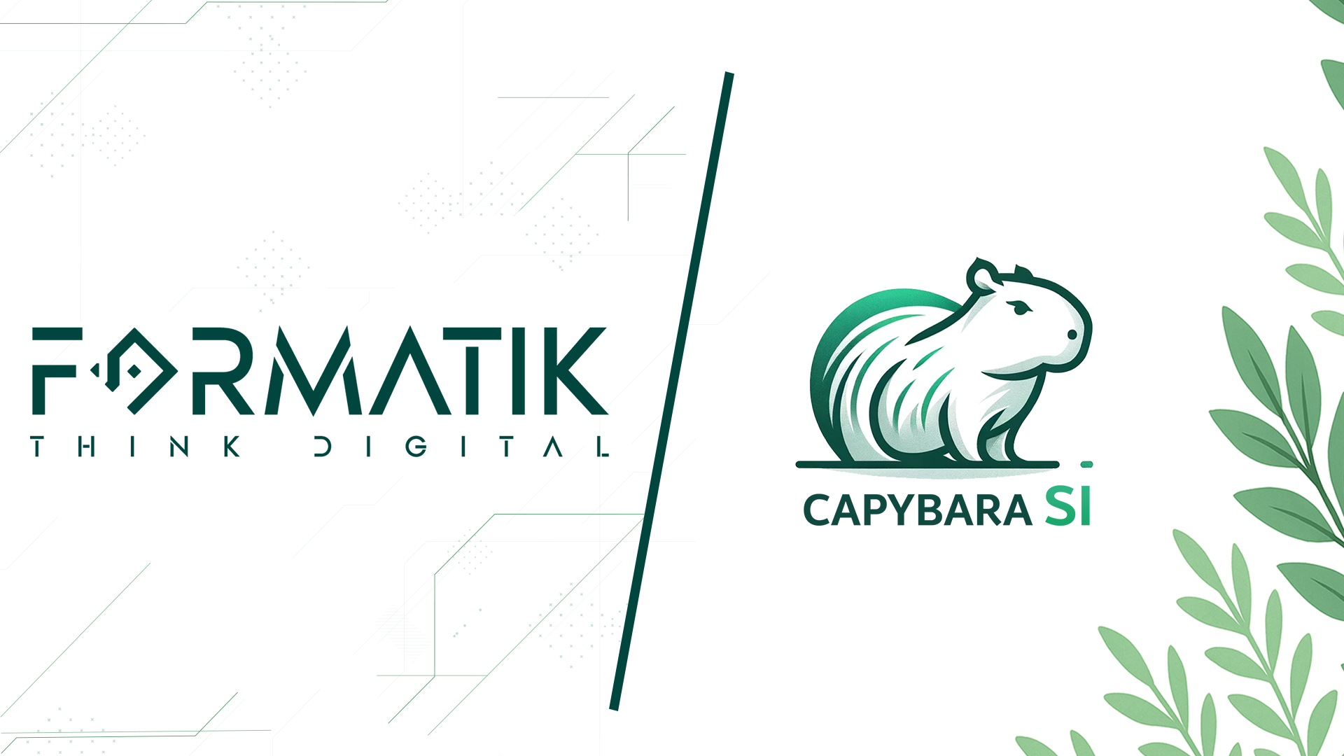 photo formatik capybara